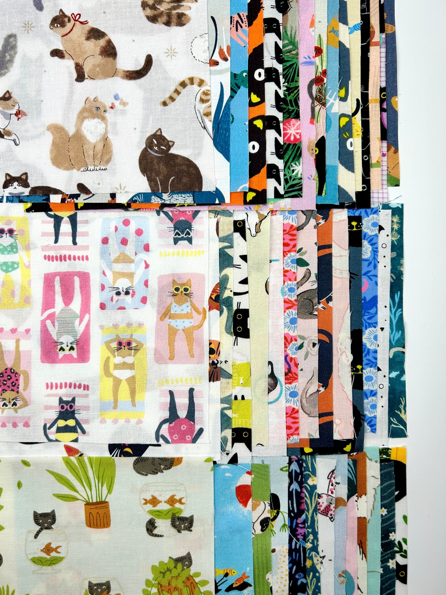 Nothing but Cats Shop Cut 5" Charms