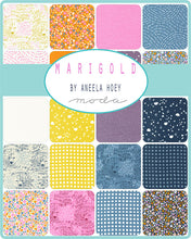 Load image into Gallery viewer, Marigold 20 Piece Fat Quarter Bundle
