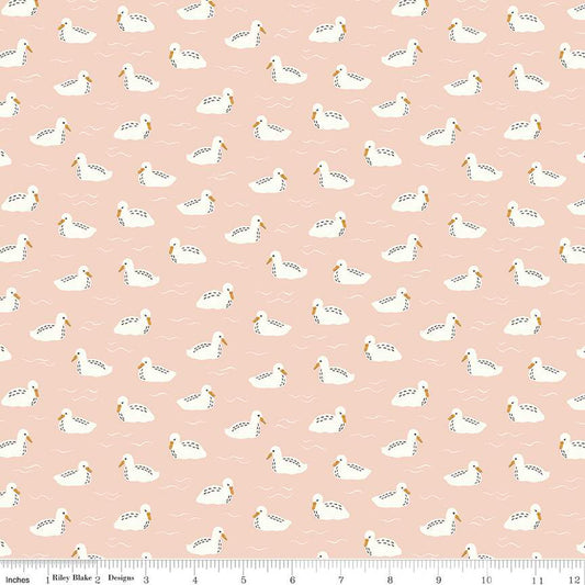 Little Baby Swans Blush