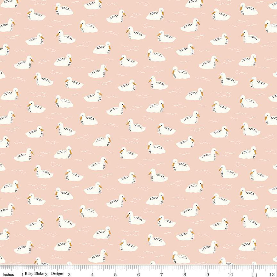 Little Baby Swans Blush