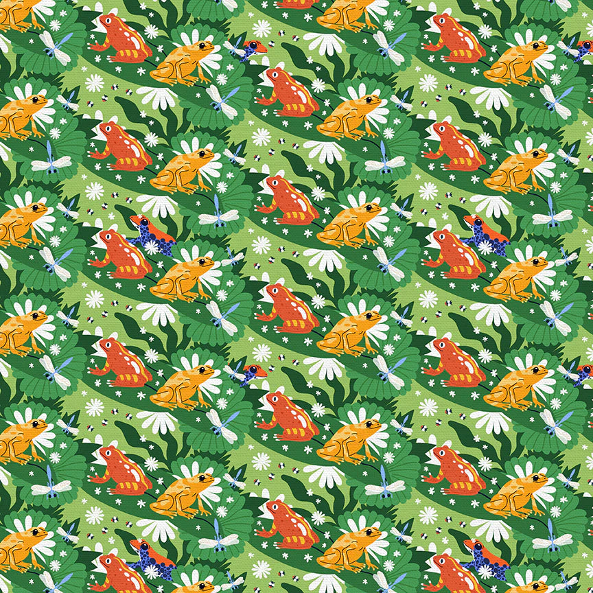 Frogs on Leaves
