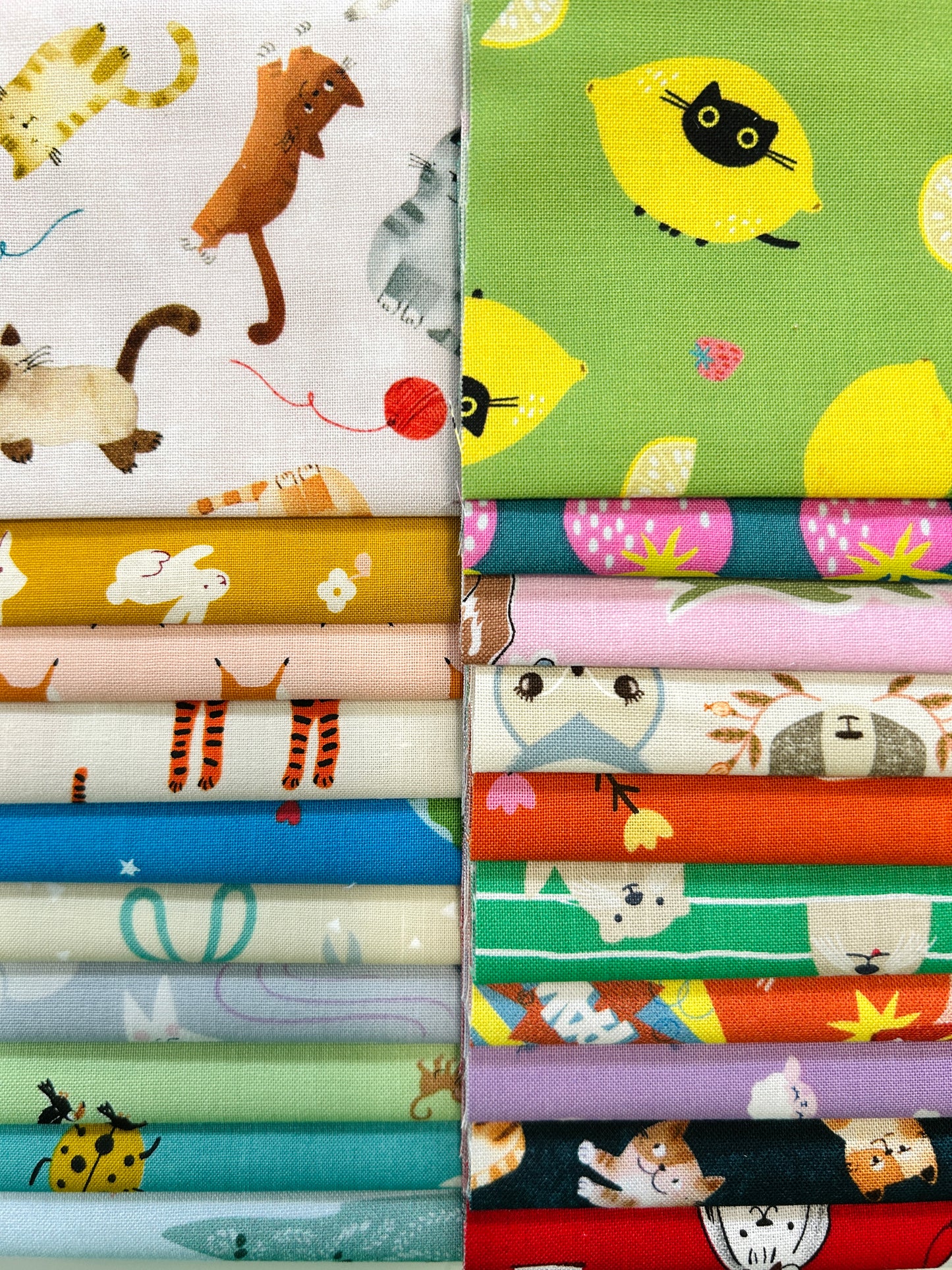 Fussy Cutting Scrap Pack