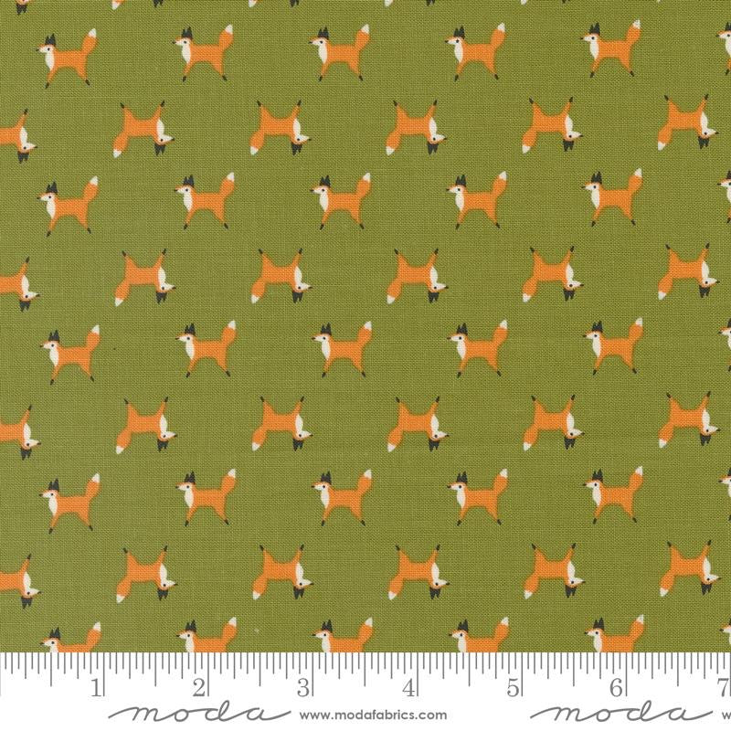 Woodland Wonder Fox Trot Fern