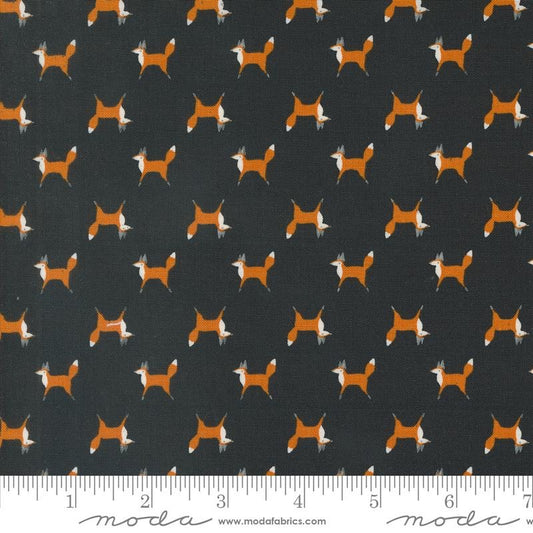 Woodland Wonder Fox Trot Midnight