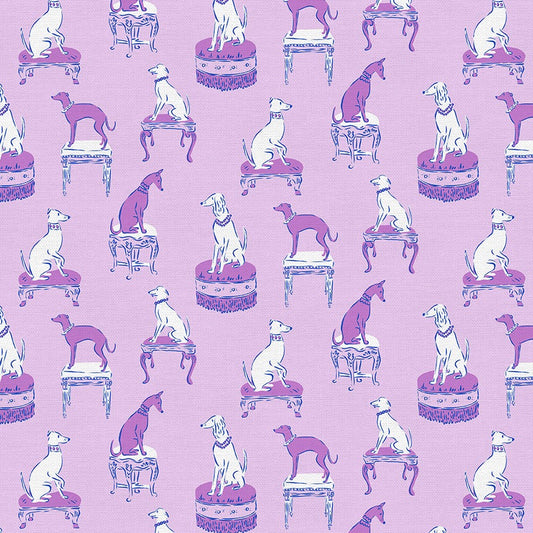 Greyhounds