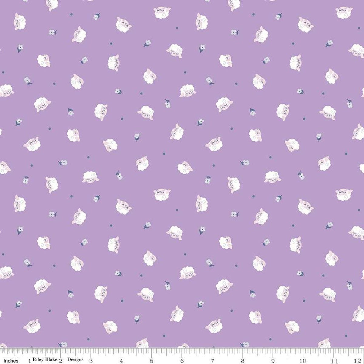 Twinkle Little Star Flock Orchid