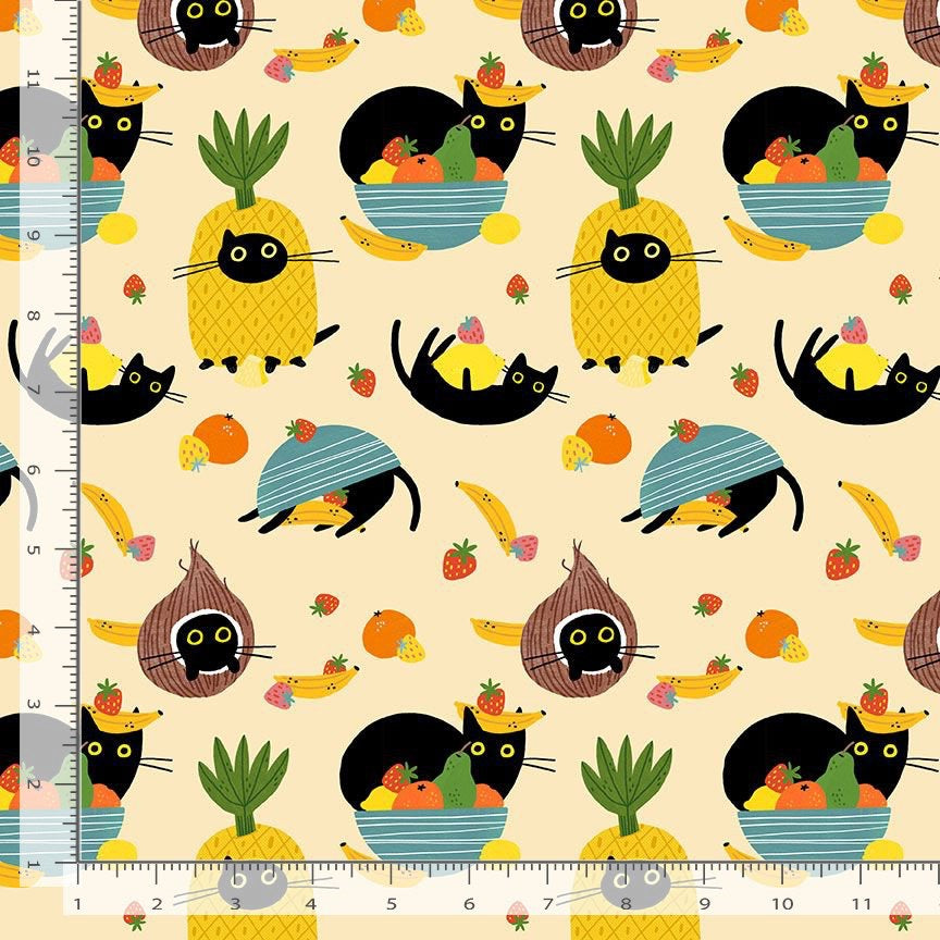 Cats in the Furruit Bowl