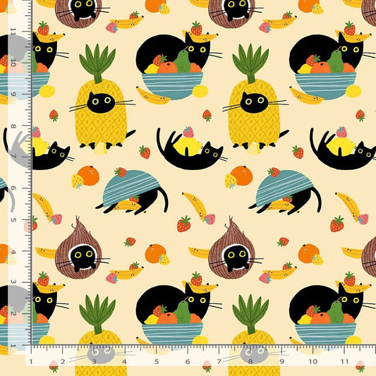 Cats in the Furruit Bowl