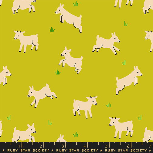 Animal Animal Baby Goats Pistachio