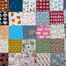 Load image into Gallery viewer, Shop Cut iSpy Quilt Charm Pack
