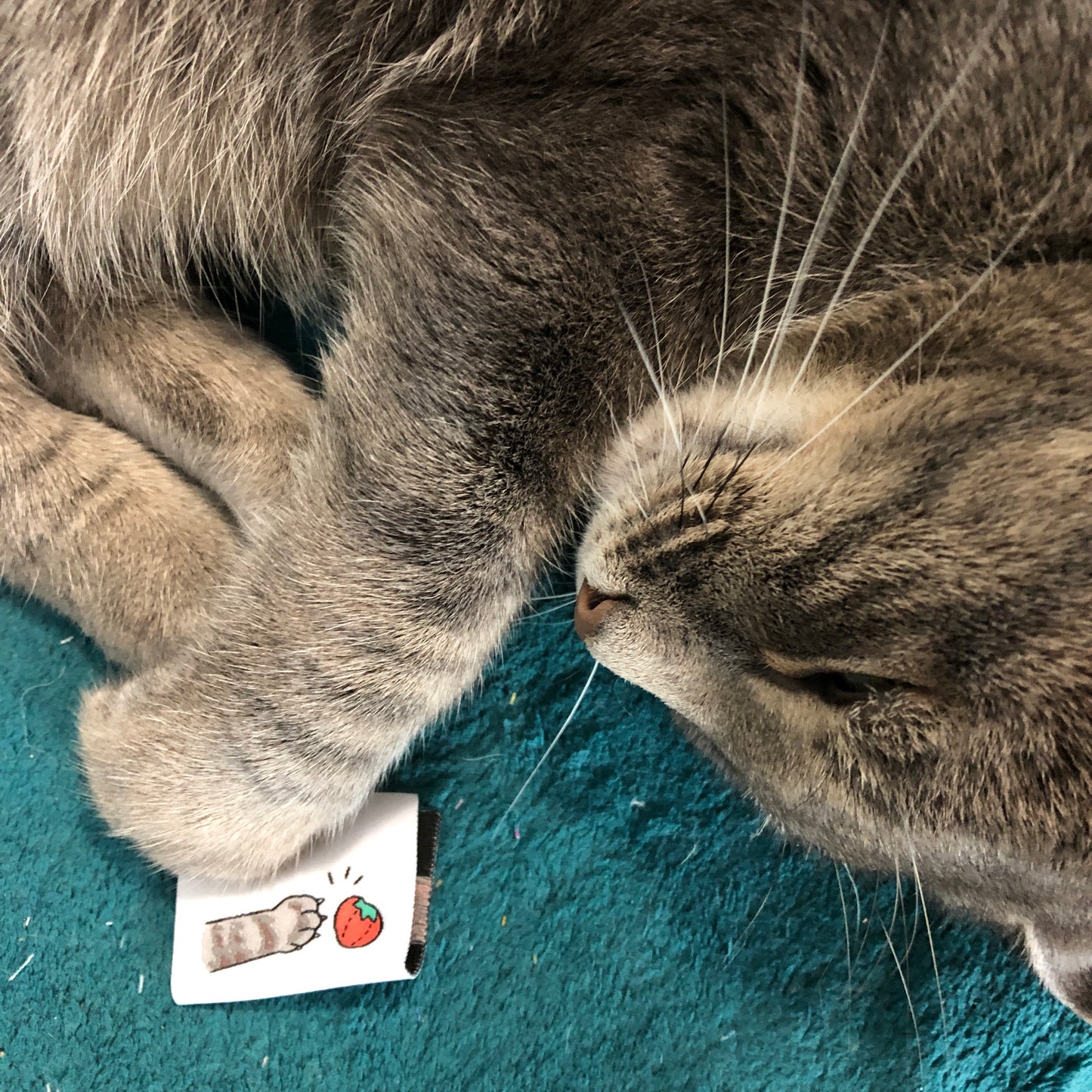 Cat Paw Sew-In Labels