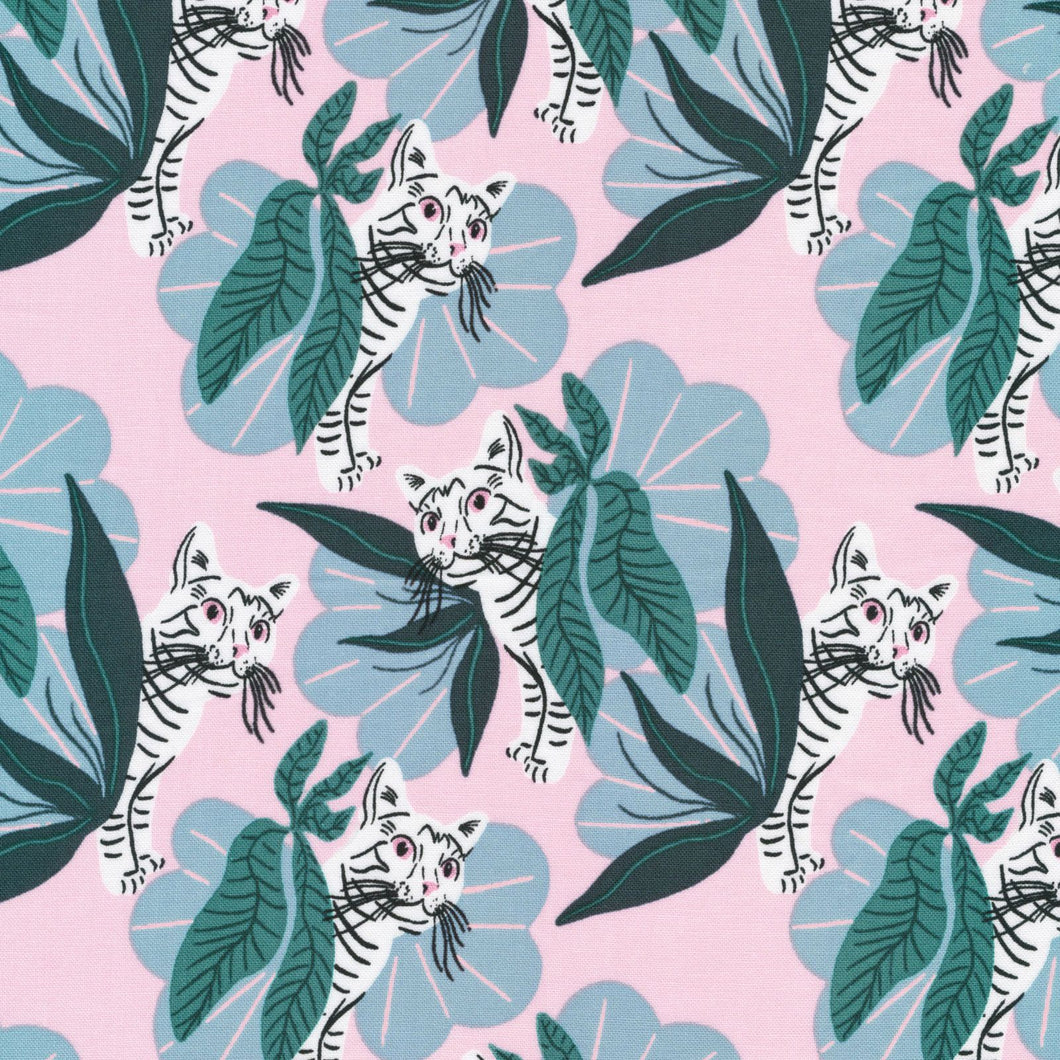 House Cat Jungle (100% Organic Cotton)