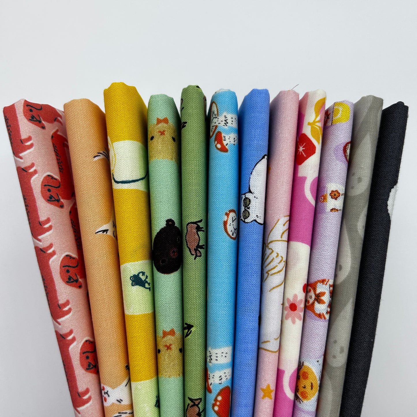 Cozy Rainbow 12 Fat Quarters